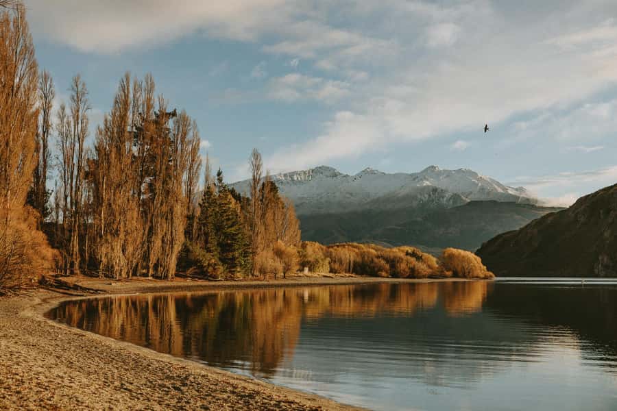 Queenstown to Christchurch via Franz Josef 2-Day Tour - Who this is best for, and who should skip it