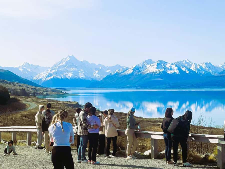 Queenstown to Christchurch via Mt Cook One-Way Tour - Lindis Pass and Omarama: alpine tussock photos and a legs-stretch break