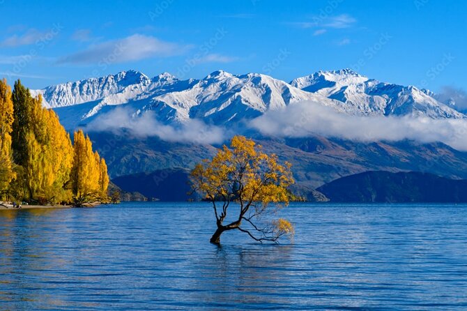Queenstown to Franz Josef via Wanaka Small Group Day Tour (1-Way) - Thunder Creek Falls: the quick walk that adds drama