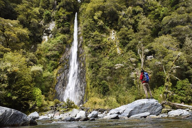 Queenstown to Franz Josef via Wanaka Small Group Day Tour (1-Way) - Ship Creek Walks and Bruce Bay: rainforest meets the sea