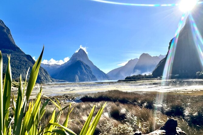 Queenstown to Te Anau via Milford Sound inc Cruise & Lunch - Mirror Lakes and Lake Gunn quick stops that actually pay off
