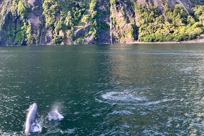 Queenstown to Te Anau via Milford Sound inc Cruise & Lunch - Hollyford River, Falls Creek waterfalls, Darran Mountains, and Homer Tunnel