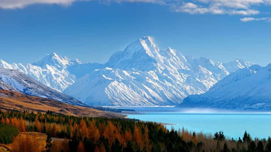 Queenstown to Tekapo Small Group Tour One Way - Pickup and the small-group ride comfort (up to 16 people)
