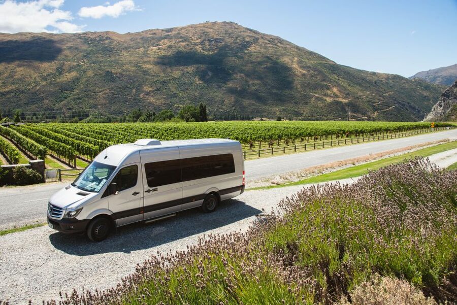 Queenstown: Twilight Wine and Craft Beer Tour - Twilight Timing in Queenstown, Why 4 Hours Works