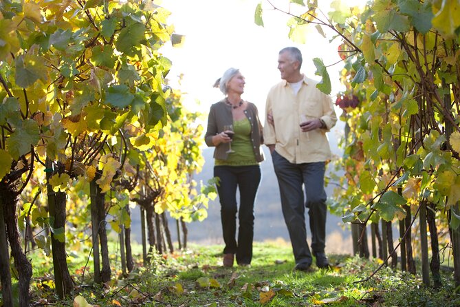 Queenstown VIP Wine Drop and Hop Tour - Comfort details that actually matter mid-day