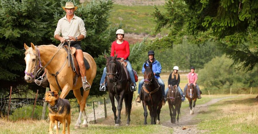 Queenstown: Walter Peak Horse Trek & Queenstown Lake Cruise - Why the Lake Whakatipu Cruise Feels Like the Real Start of the Day