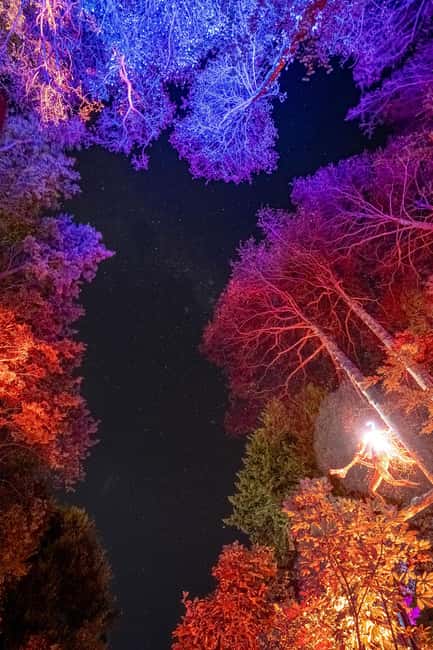Queenstown: Whimsical Sensory Night Walk at LUMA Enchanted - Key things to know before you go