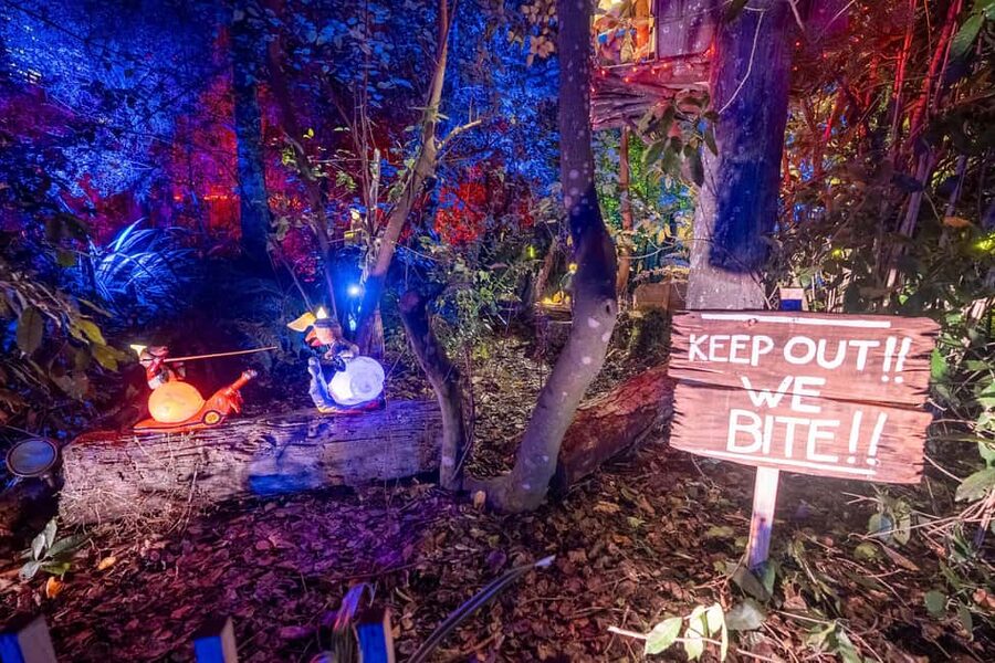 Queenstown: Whimsical Sensory Night Walk at LUMA Enchanted - Who should book this, and who might skip it