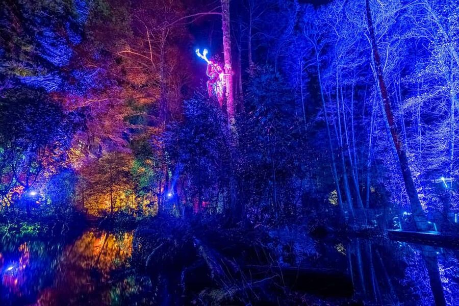 Queenstown: Whimsical Sensory Night Walk at LUMA Enchanted - LUMA Enchanted at Kiwi Park, Queenstown, what it really feels like