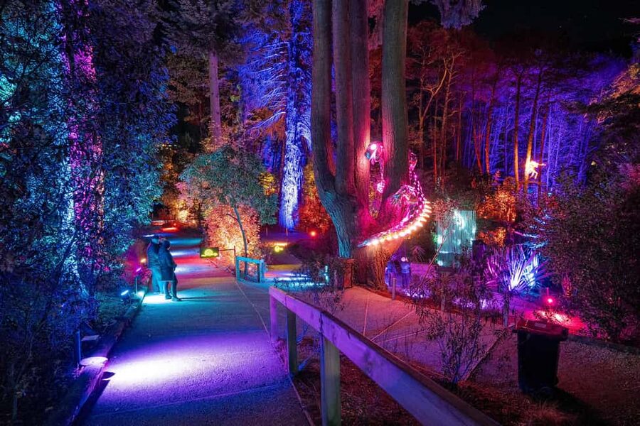 Queenstown: Whimsical Sensory Night Walk at LUMA Enchanted - The night-walk path: five acres of light installations and surprises