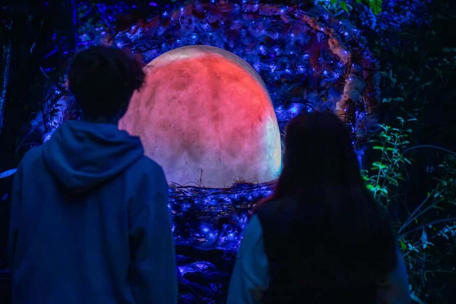 Queenstown: Whimsical Sensory Night Walk at LUMA Enchanted - Whimsical creatures and kiwi storytelling you can follow at any age