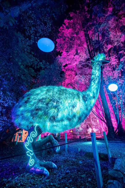 Queenstown: Whimsical Sensory Night Walk at LUMA Enchanted - Interactive displays and sculptures, what to look for on the route