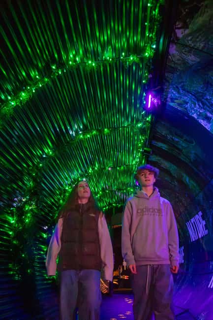 Queenstown: Whimsical Sensory Night Walk at LUMA Enchanted - Price and value: what $35 per person buys you