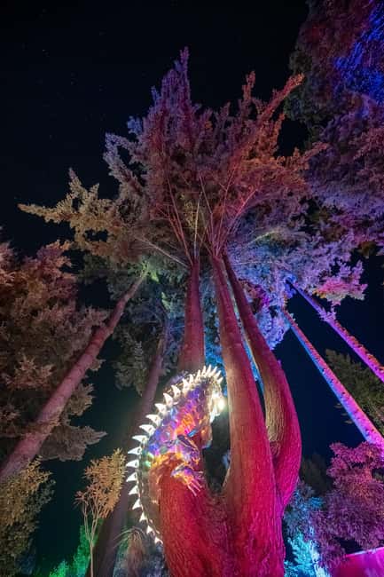 Queenstown: Whimsical Sensory Night Walk at LUMA Enchanted - Finding the start inside the Kiwi Park tunnel and the LUMA heart
