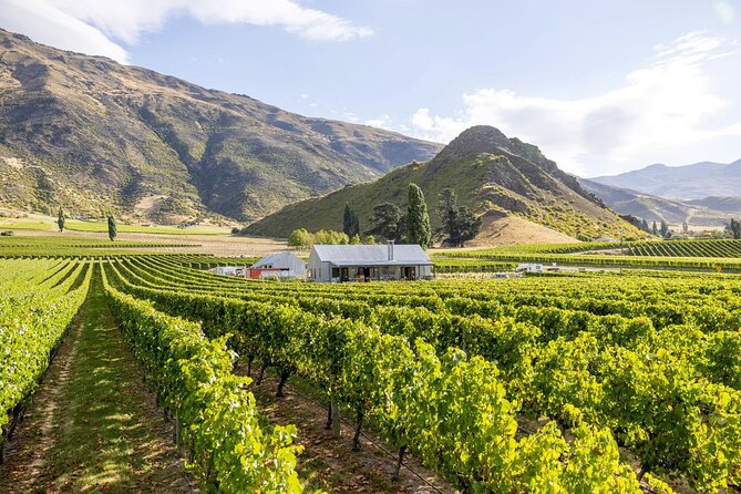 Queenstown Wine & Food Tour: Scenery, Tastings & Delicious Lunch! - The Kawarau Gorge Drive: Scenery Without the Hassle