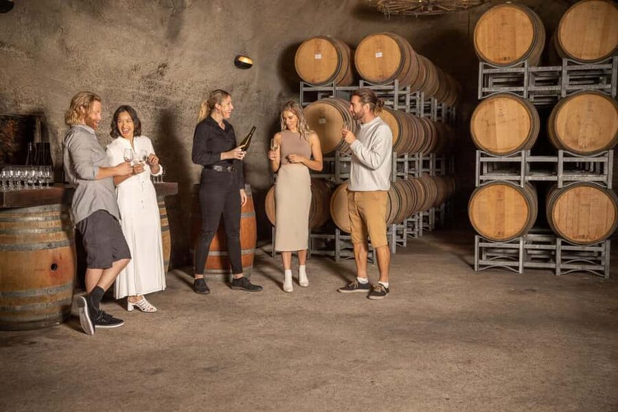 Queenstown: Wine & Food Tour, Scenic Tastings & Paired Lunch - Practical Central Otago Wine Tips You Can Use Immediately