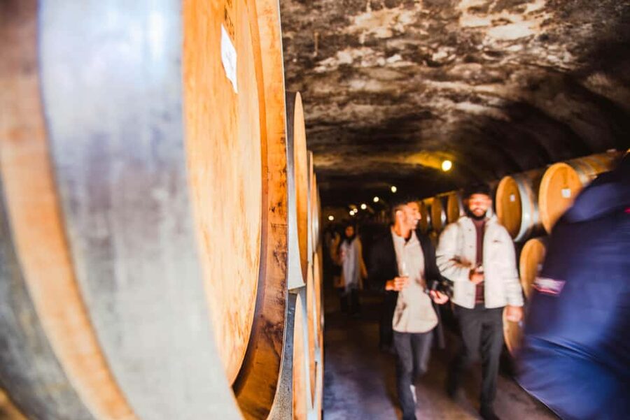 Queenstown: Wine Tasting Tour - How much you taste in 6 hours, and how to stay sharp