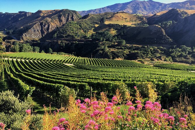 Queenstown Wine Tour - Group size, comfort, and the small details that prevent stress