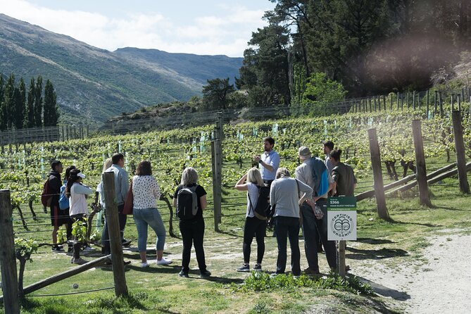 Queenstown Wine Tour - Gibbston Valley Cave | Kinross | Amisfield - Quick takeaways before you go