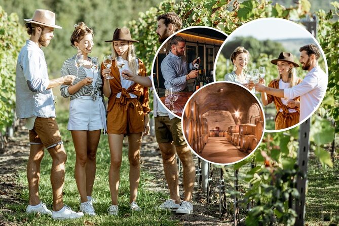 Queenstown Wine Tour - Gibbston Valley Cave | Kinross | Amisfield - Queenstown to Gibbston Valley by minivan, with built-in commentary