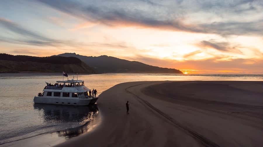 Raglan: Scenic Harbour Sunset Cruise - Why a sunset cruise is the smart move in Raglan