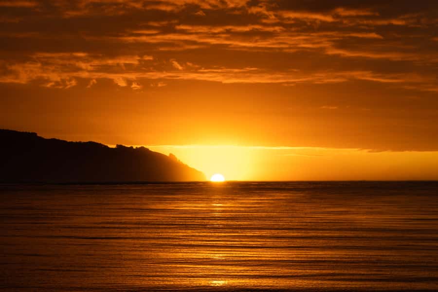 Raglan: Scenic Harbour Sunset Cruise - Volcanic remnants, West Coast coastline, and why the timing matters