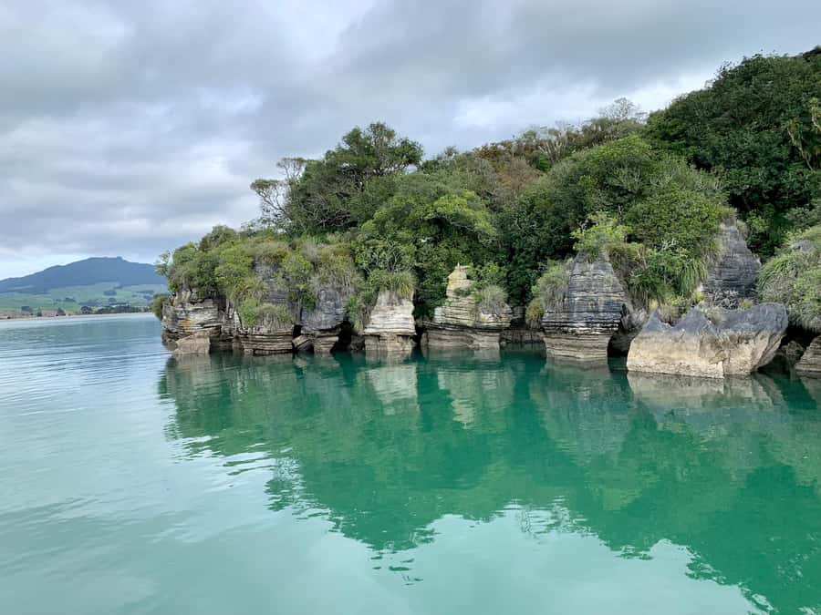 Raglan: Scenic Harbour Sunset Cruise - Licensed bar service, drinks you can buy, and seating reality
