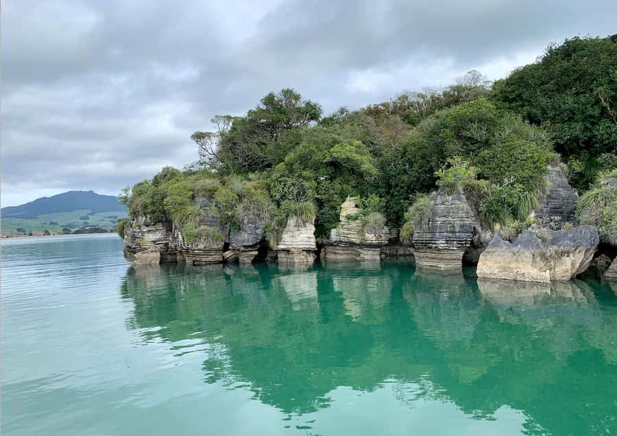 Raglan: Scenic Nature Boat Cruise - West Coast views from Whaingaroa Harbour, no hike required