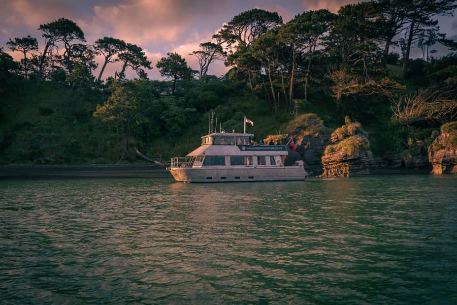 Raglan: Scenic Nature Boat Cruise - Getting on the Wahinemoe at Raglan Wharf