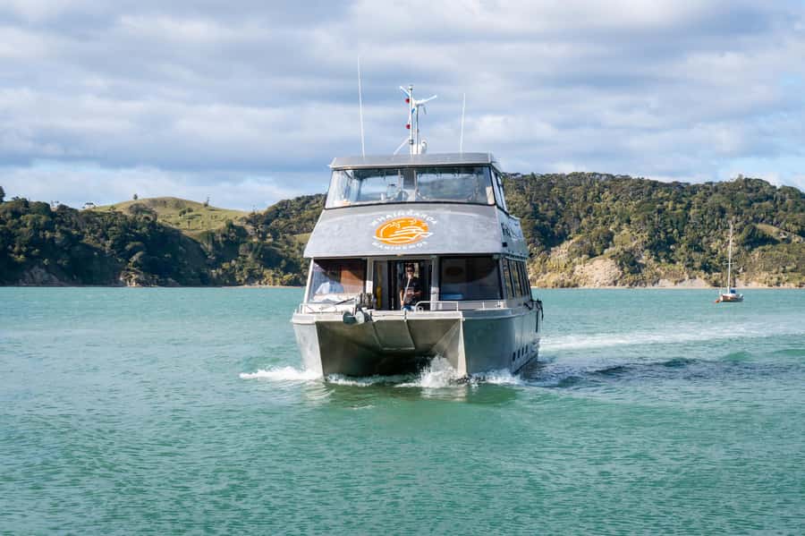 Raglan: Scenic Nature Boat Cruise - The 1.5 hour river-boat time: what you actually see