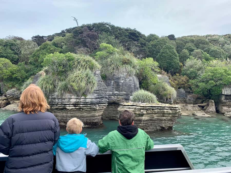 Raglan: Scenic Nature Boat Cruise - Who this cruise suits best, and who should think twice