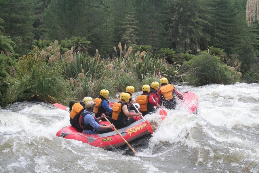 Rangitaiki Rafting Grade 3-4 - The 14 km Run: How the Day Flows From Launch to Finish