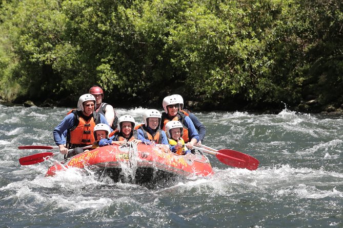 Rangitaiki River White Water Scenic Rafting from Rotorua - Waterfalls, forest gorges, and the moments you’ll remember later