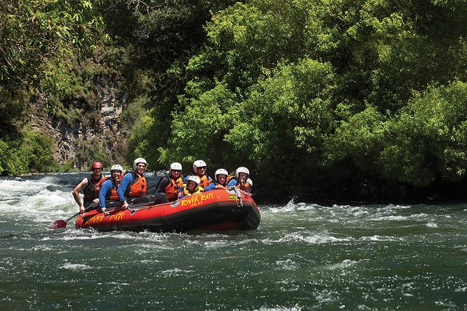 Rangitaiki River White Water Scenic Rafting from Rotorua - Who should book this Rangitaiki River rafting trip (and who might choose a higher grade)