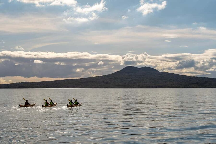 Rangitoto Island: Sea Kayak & Summit Hike Day Trip - The First Step Is Training, Not Chaos