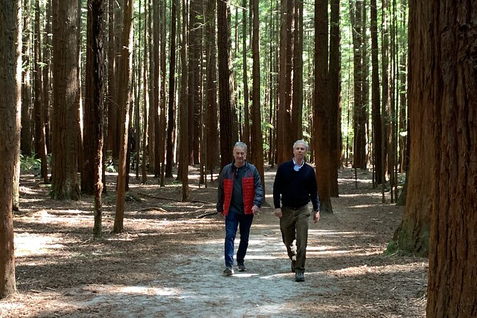Redwood Forest , Blue Springs & Huka Falls Day Tour from Auckland - Stop 1 to Stop 2: Auckland to Blue Spring (the cobalt-water warmup)