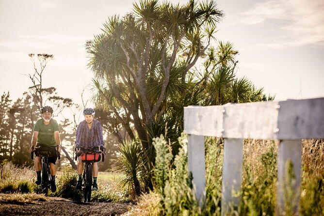 Remutaka Rail Trail eBike Explorer Cycle Tour - Price and value: where your $136.53 goes