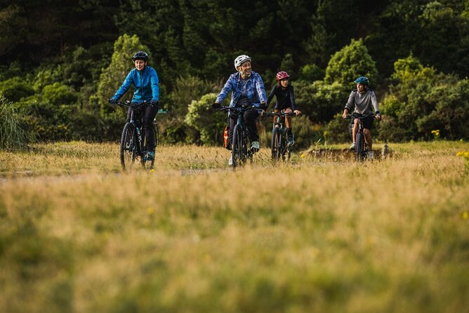 Remutaka Rail Trail Mountain Bike Explorer Cycle Tour - Back over the ranges: Featherston, then shuttle to Wellington