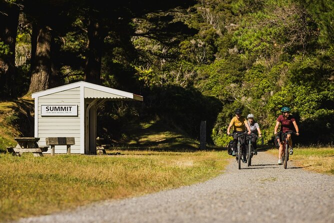 Remutaka Rail Trail Mountain Bike Explorer Cycle Tour - Getting to Kaitoke: pickup choices and how the day flows