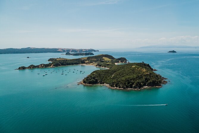 Rotoroa Island Ferry - from Auckland - Rotoroa Island itself: walking tracks with real wildlife potential