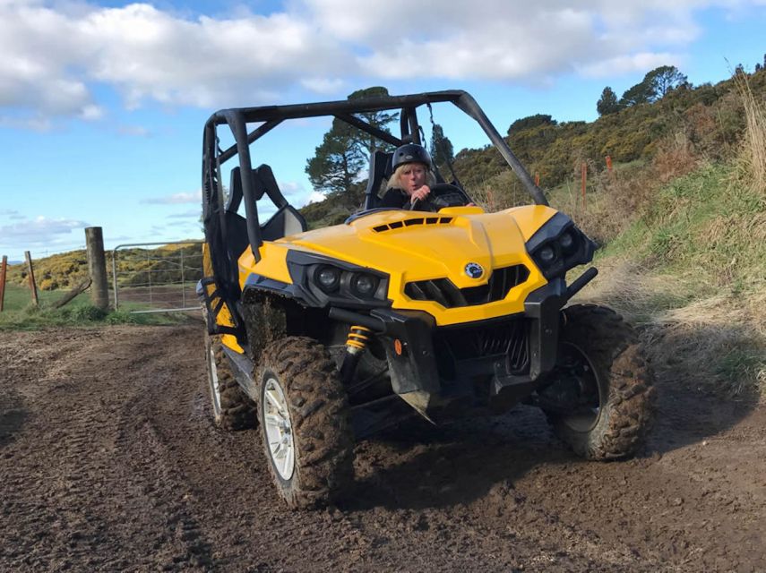 Rotorua: 4×4 Self-Drive Buggy Tour Through Farm and Bushland - 2-Seater Buggy Driving, and How Sharing the Wheel Works