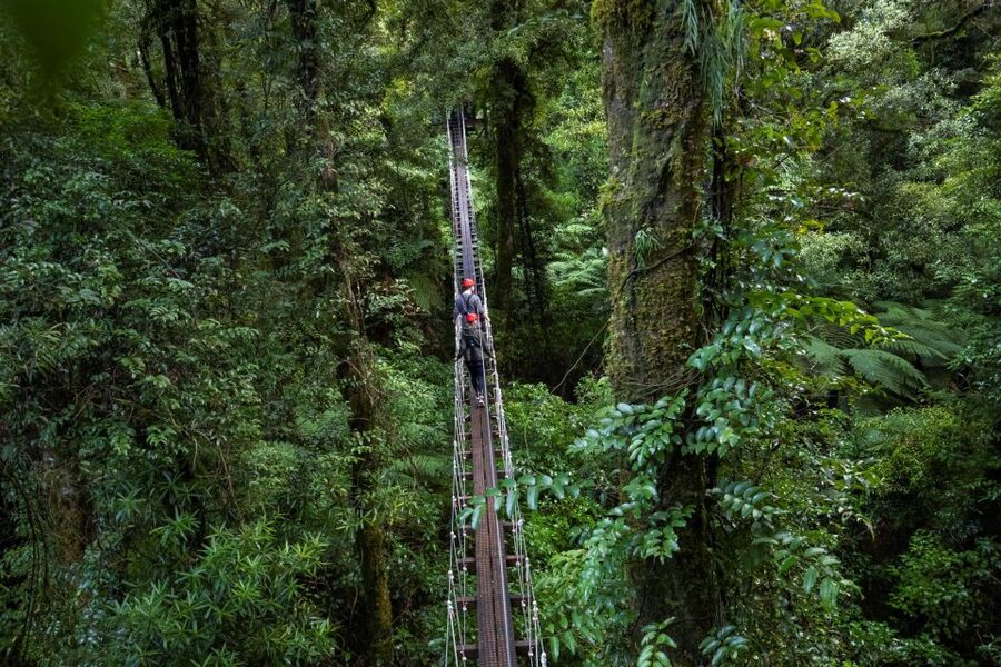 Rotorua: 6 Ziplines, 400m Tandem, Cliff Walk & Swing Bridges - Price and Value: Why $152 Can Make Sense Here