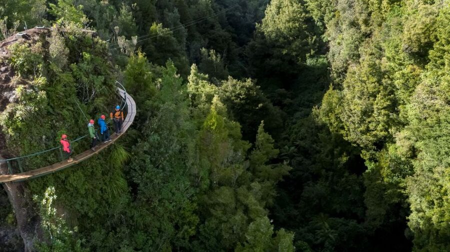 Rotorua: 6 Ziplines, 400m Tandem, Cliff Walk & Swing Bridges - Climbing to the Views: Floating Staircase, Platforms, and Lake Rotorua