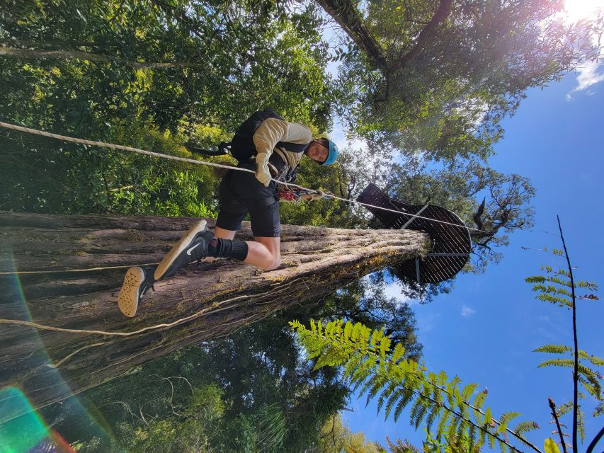 Rotorua: 6 Ziplines, 400m Tandem, Cliff Walk & Swing Bridges - Swing Bridges in the Canopy: High, Wobbly, and Worth the Chills