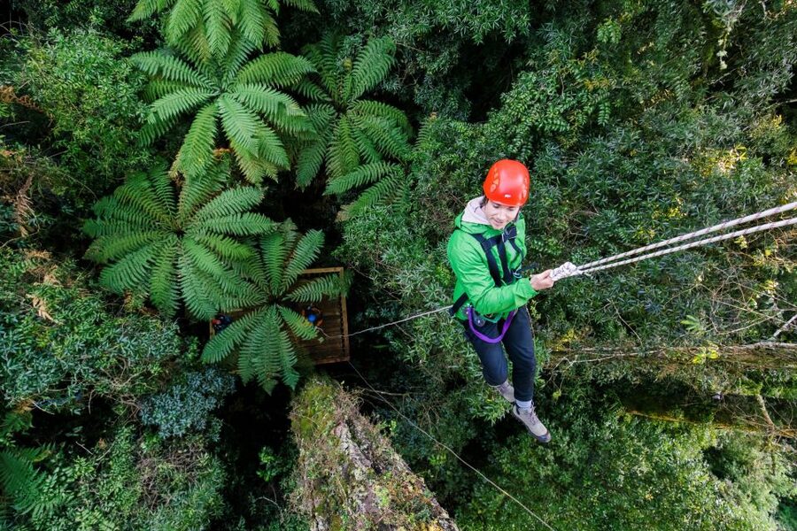 Rotorua: 6 Ziplines, 400m Tandem, Cliff Walk & Swing Bridges - Safety, Weather, and How to Prepare Like a Pro