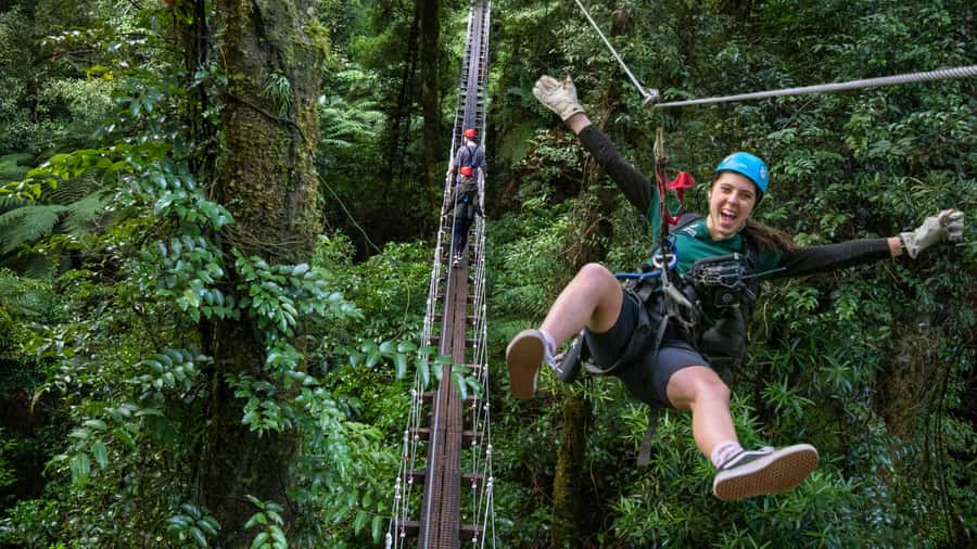 Rotorua: 6 Ziplines, Swing-Bridges & Wildlife Encounters - Wildlife encounters in native forest, and what to expect realistically