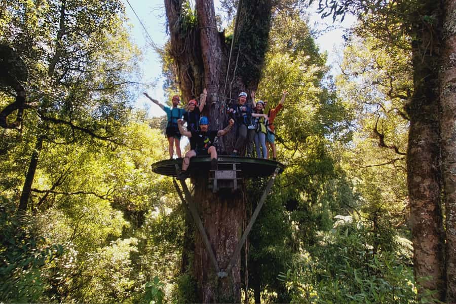 Rotorua: 6 Ziplines, Swing-Bridges & Wildlife Encounters - Weather, clothing, and the low level fitness reality