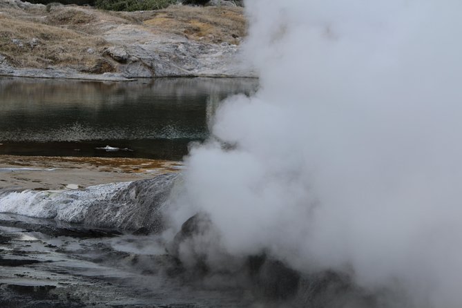 Rotorua and Waitomo Caves Day Trip from Auckland -Smaller Groups - Waitomo Glowworm Caves: boat ride magic with real cave rules