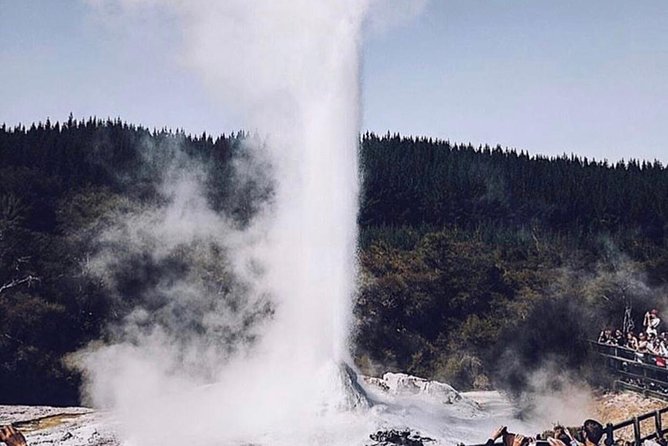 Rotorua based Small Group Morning Tour Waimangu and Wai O Tapu - Who should book this morning tour, and who might prefer something else