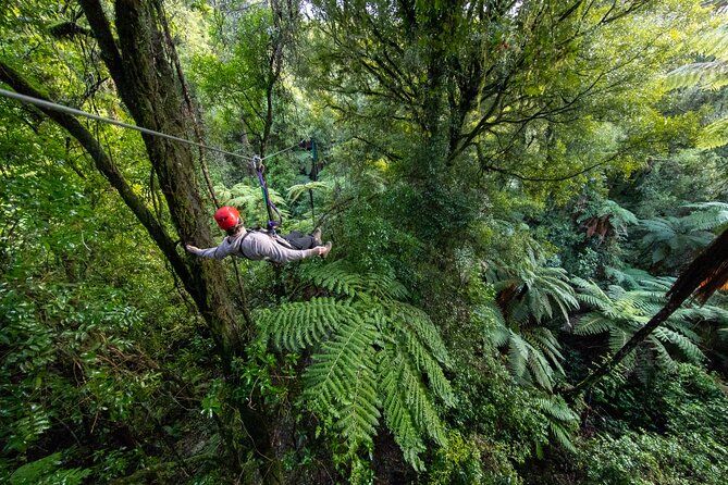 Rotorua Canopy Tours: 2.5Hour Native Forest Zipline Adventure - Six ziplines, high bridges, and that 1000-year-old view